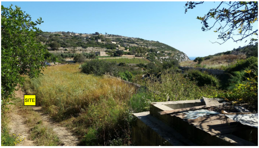 Store with a view: Garden of Eden wants to rebuild once-illegal rooms