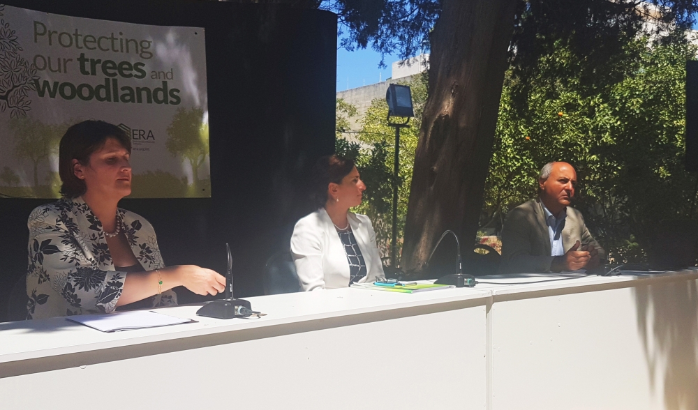 More protected trees, woodland areas and higher infringement fines with new law