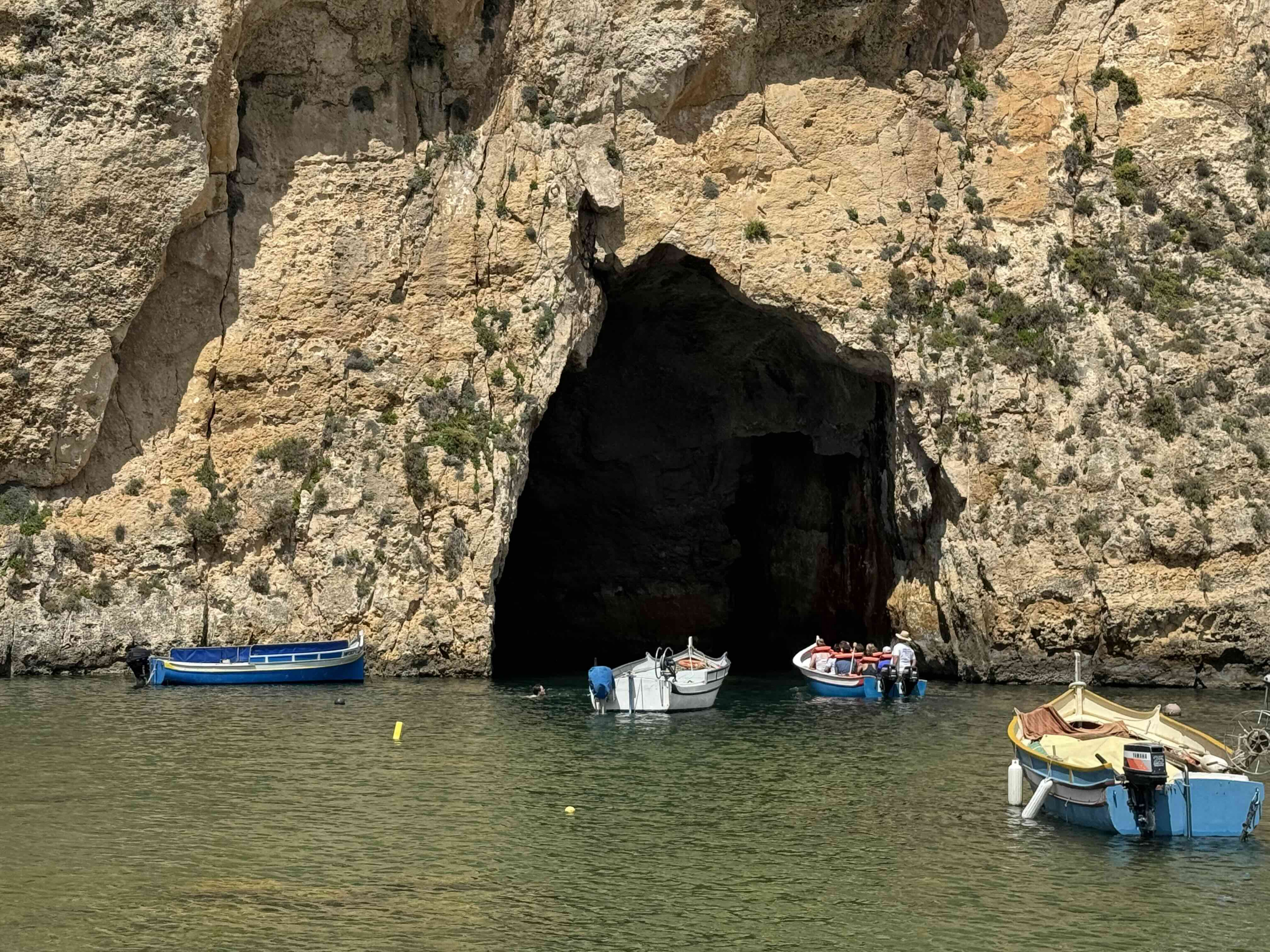 Aliens, predators and trampling: Challenges for Gozo’s Natura 2000 sites