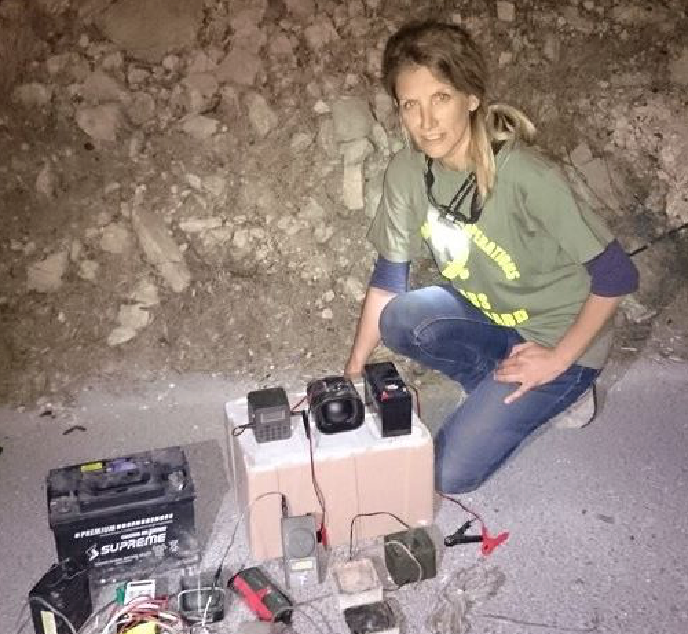 15 illegal electronic quail callers dismantled