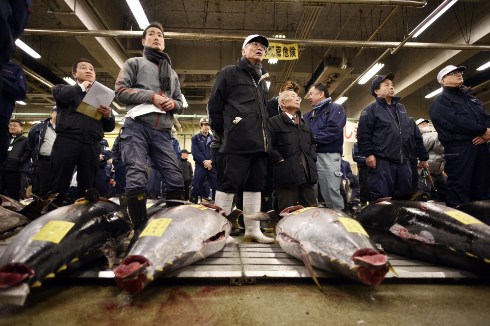 Muscled out of the sea by Malta’s tuna giants