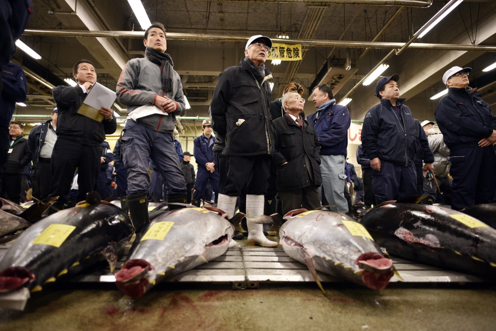 It has now been over 20 years since the Maltese tuna industry became one of the island’s major exporters of fish products, namely to Japan: in 2016, it exported a total of €121 million in fish products, roughly 89% of all Maltese exports to the land of the rising sun