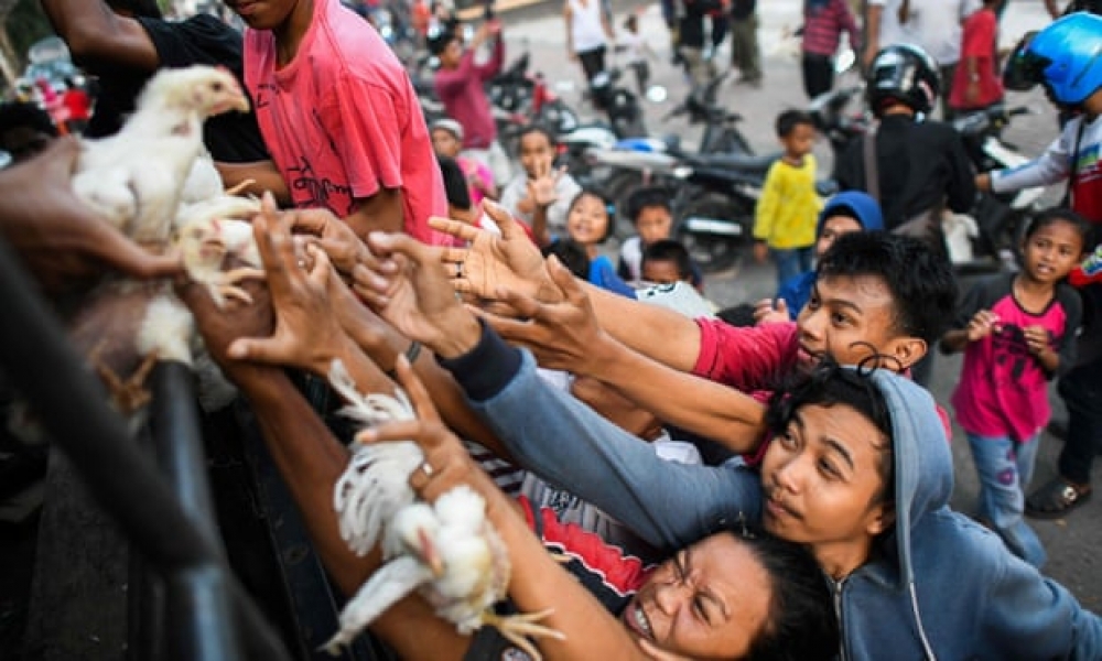 Anger over late-coming aid in Palu as death toll rises