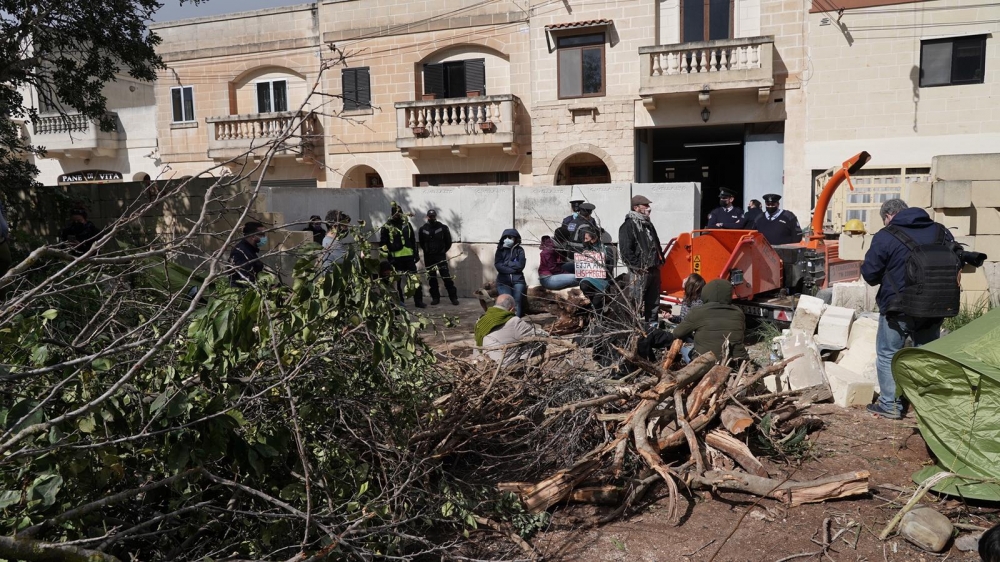 The environment authority has the power to issue a tree protection order but in the Dingli case it endorsed IM's destruction of trees