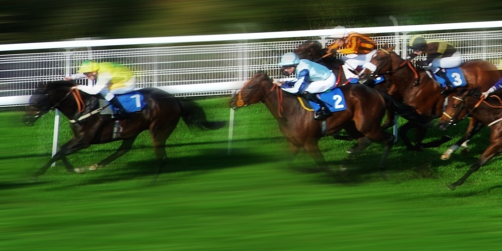 Beginners Guide: Smart sports betting in Malta
