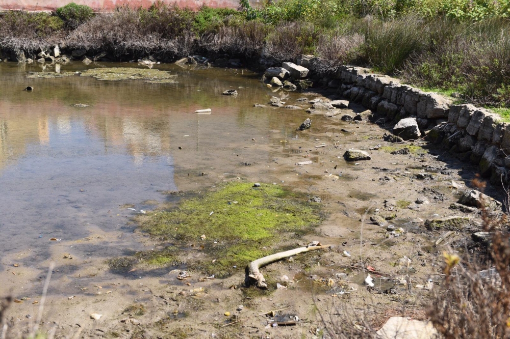 Il-magħluq in Marsaskala is one of only two saline marshland environments in the south