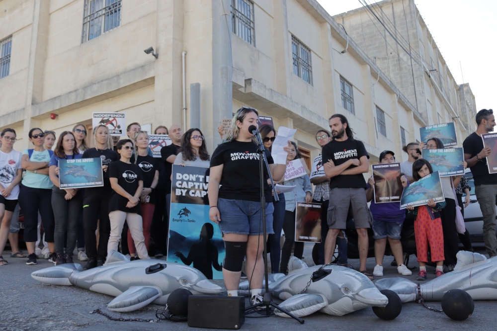 Animal Liberation Malta had revealed that three dolphins had died between August and September 2021 at Mediterraneo Marine Park (Photo: Moviment Graffitti)