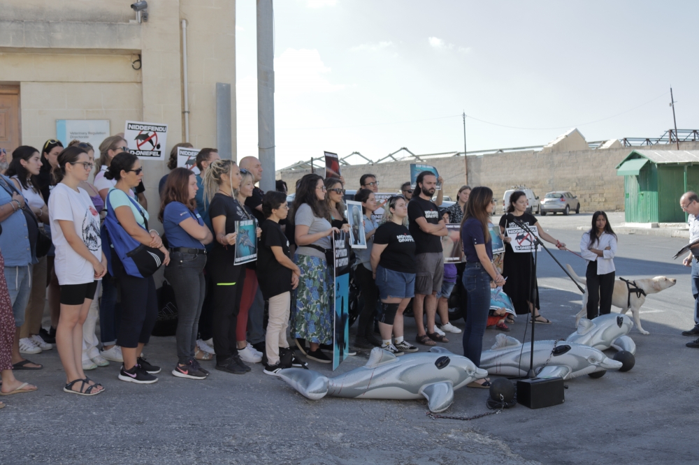 Animal Liberation Malta had revealed that three dolphins had died between August and September 2021 at Mediterraneo Marine Park (Photo: Moviment Graffitti)