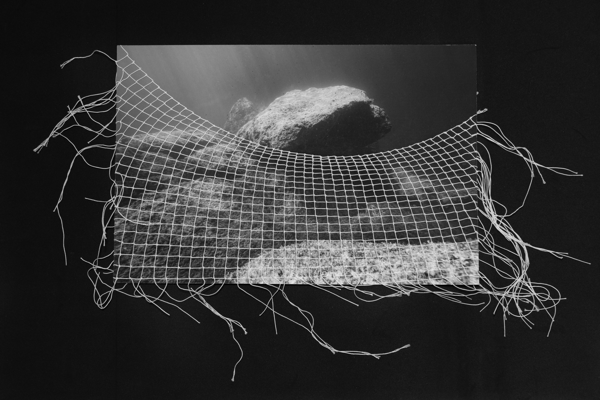 Net Loss I