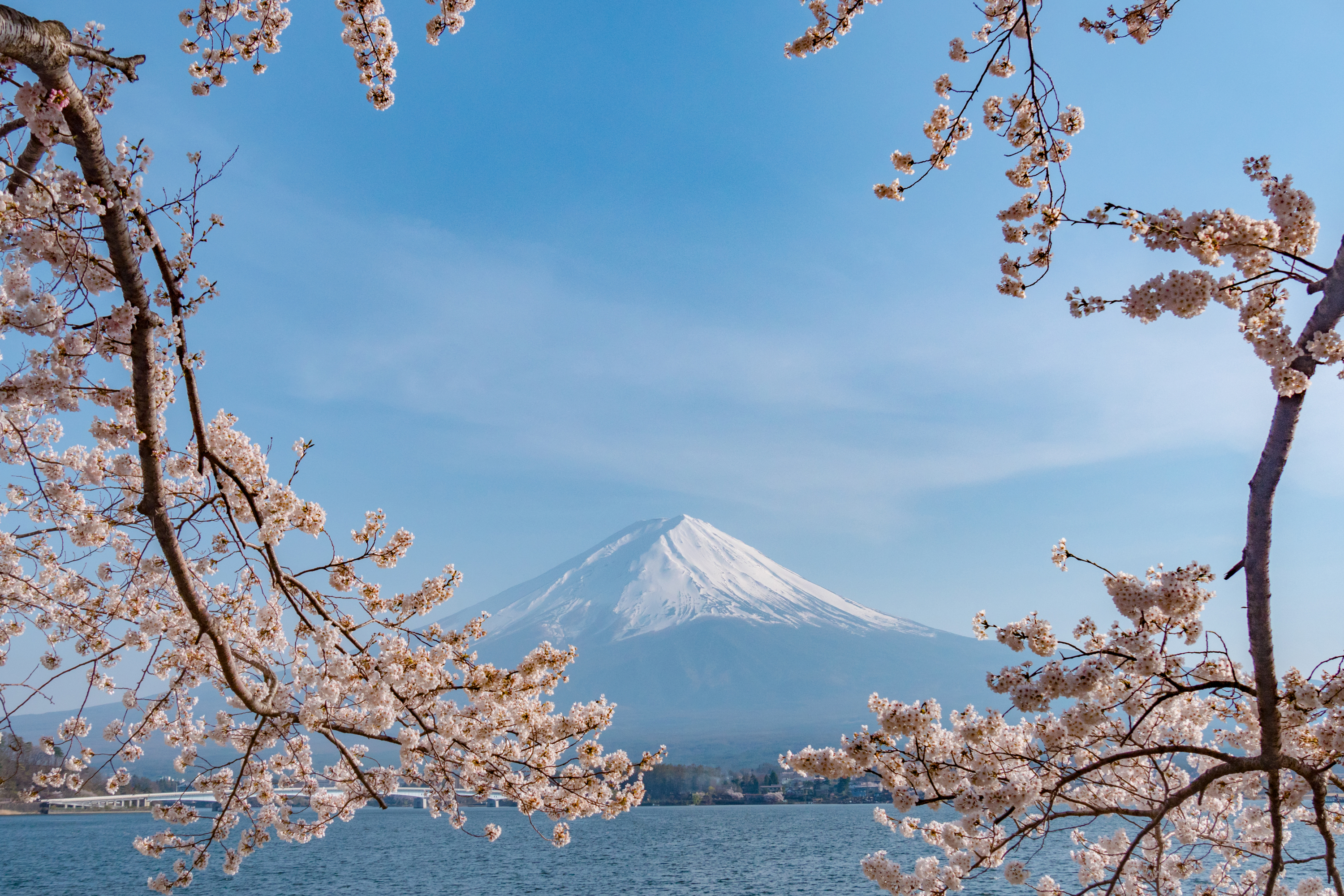 Youths under 30 can now get free working holiday visas to explore Japan