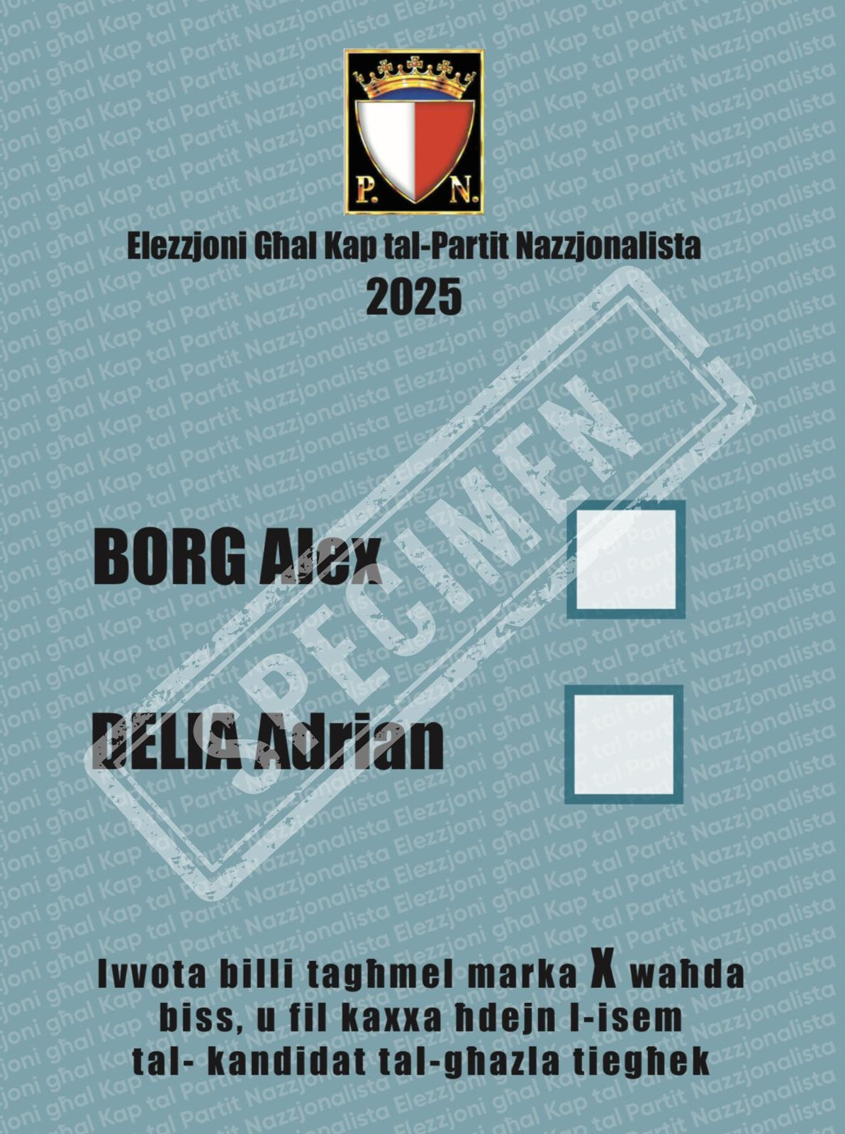 Specimen of the ballot paper on which PN tesserati will be expected to mark their preferred leadership candidate