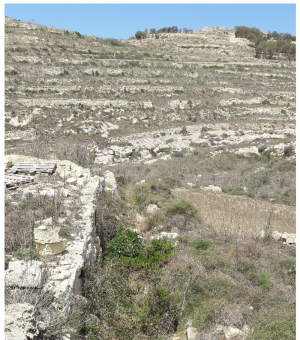Fireworks factory to be developed in pristine Gharb valley