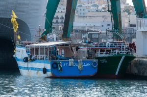 Fishers irked at tuna owner’s agency service to Tunisians