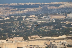 Eastern Imperial eagle feared killed in Malta