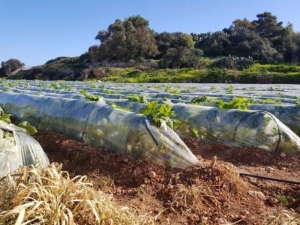Democratic Party will support PN motion on transfer of agricultural leases