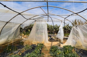 Farmers receive €500,000 in compensation over storm damage