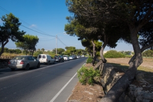 NGOs in final 'appeal for common sense' as Central Link Project set for approval