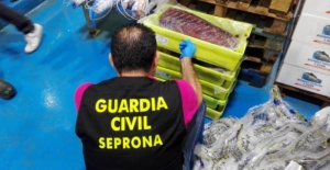 Tuna lobby appoints lawyer to follow Spanish investigation