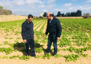 Updated | Farmers not yet paid EU funds, ‘government in breach of rules’ says Agius