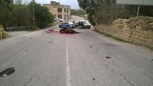 Horse escapes from sulky, dies after crashing into car