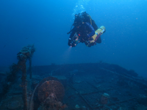 Diver Dione Galdes dies at Mater Dei Hospital after rescue on Sunday