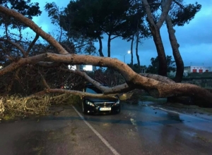 Updated | Gale force winds cause disruption, force parties to cancel political events