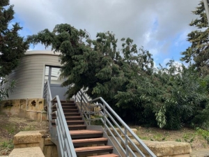 Insurance claims for storm damage could run into several millions