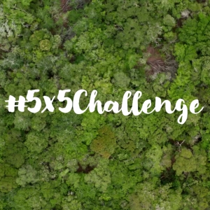 5x5 challenge: participation by stakeholders in favour of cleaner environment