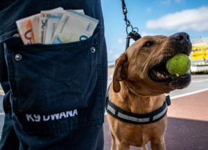Customs dog sniffs out €22,000 in undeclared cash
