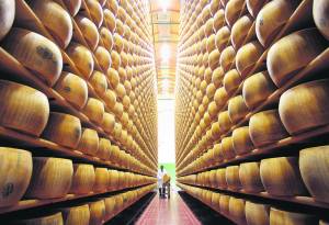 An EU-wide survey reveals the Maltese have poor knowledge of food quality labels