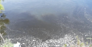ERA committed to restoring Ghadira Sarraflu following vandalism