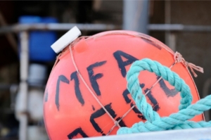 Corrupt fisheries official freed from jail with three-year probation order