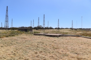 'Massive' afforestation project will see area behind Freeport transformed into 8,000-tree park