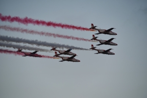 Airshow will return in 2020 after two-year hiatus, Konrad Mizzi says