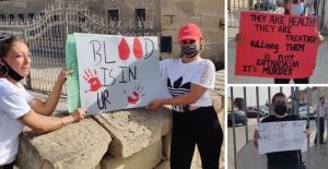 Protest outside Animal Welfare Directorate over euthanasia of rescued pitbulls