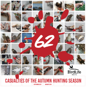 Autumn hunting season closes with 62 illegally shot protected birds