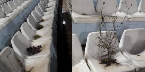 Football fan group posts photos of weeds growing out of national stadium seats