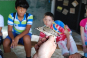 BirdLife organise ‘warder experience’ for children
