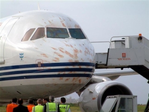 Bird strike forces Air Malta plane to return to airport