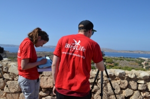 BirdLife Malta appeals to public for support with Raptor Camp