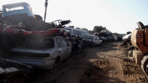 Court halts MEPA from carrying out enforcement action in Birzebbugia fields