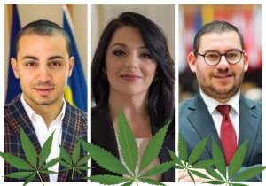Updated | Labour exponents call out Julia Farrugia Portelli over cannabis stance