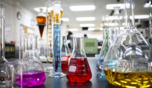 Would-be lab thief released on bail