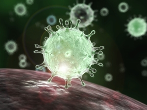 Coronavirus national response team set up, as Malta takes precautionary measures