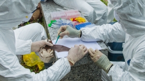 Updated | Union says government should appoint urgent coronavirus committee