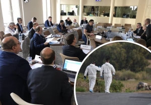 Council of Europe adopts damning report on rule of law in Malta