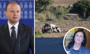 Daphne Caruana Galizia murder | A high-profile arrest, protests and the search for truth
