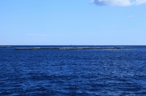 Authorities launch investigation into Marsascala fish farms pollution