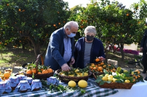 San Anton Palace citrus fruits to be sold from Kitchen Garden