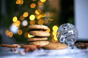 Three plant-based recipes to keep the vegans happy this Christmas